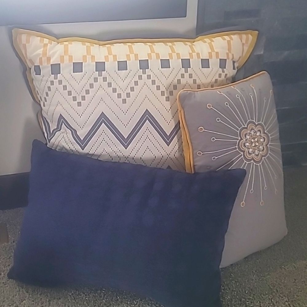 Collection of Matching Throw Pillows (lg, 2 sm)